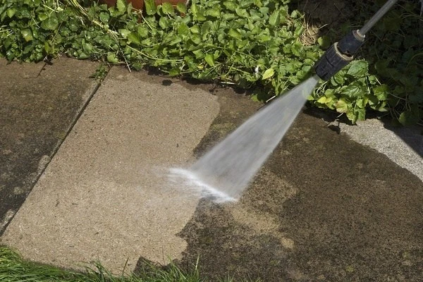 AP Landscaping and Hardscaping's other services