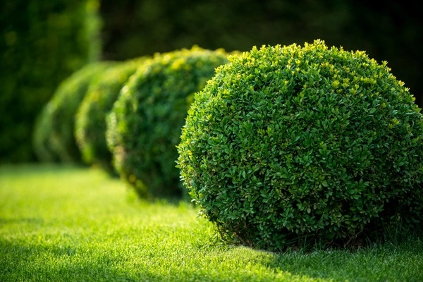 Reliable landscape services